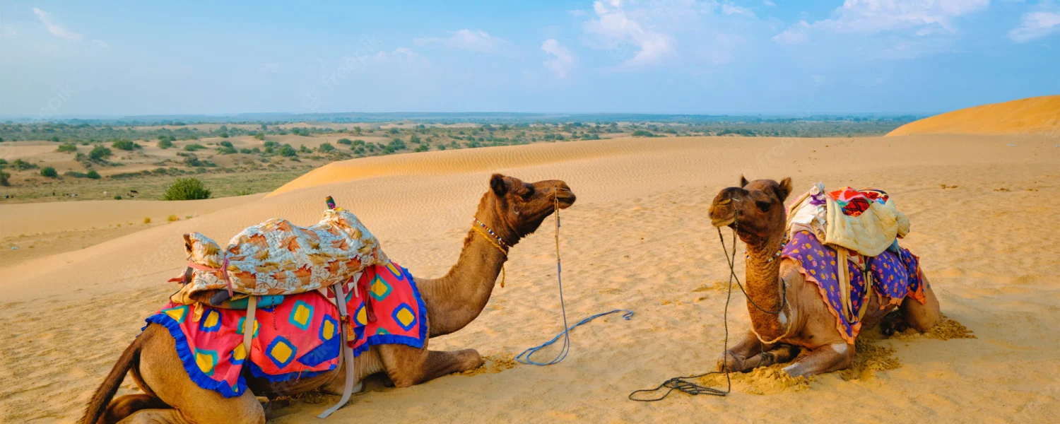 10 Days Rajasthan Tour